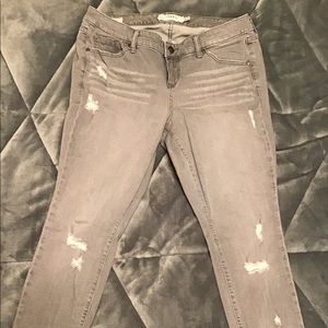 Torrid Skinny Jeans (NWOT)